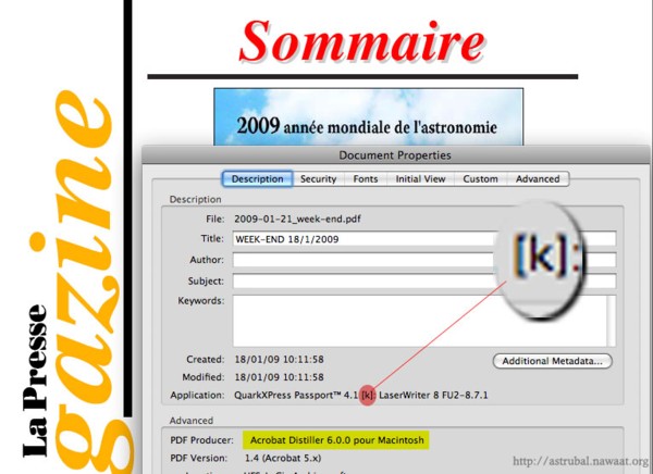 Capture d'écran de la page d'informations de la version PDF du journal.