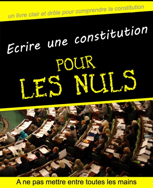 constit-pour-nul