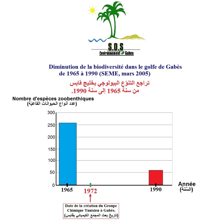 zoo-benthiques-gabès