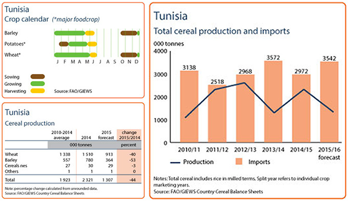 From the FAO's Food Security Snapshot for Tunisia.