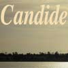 Candide